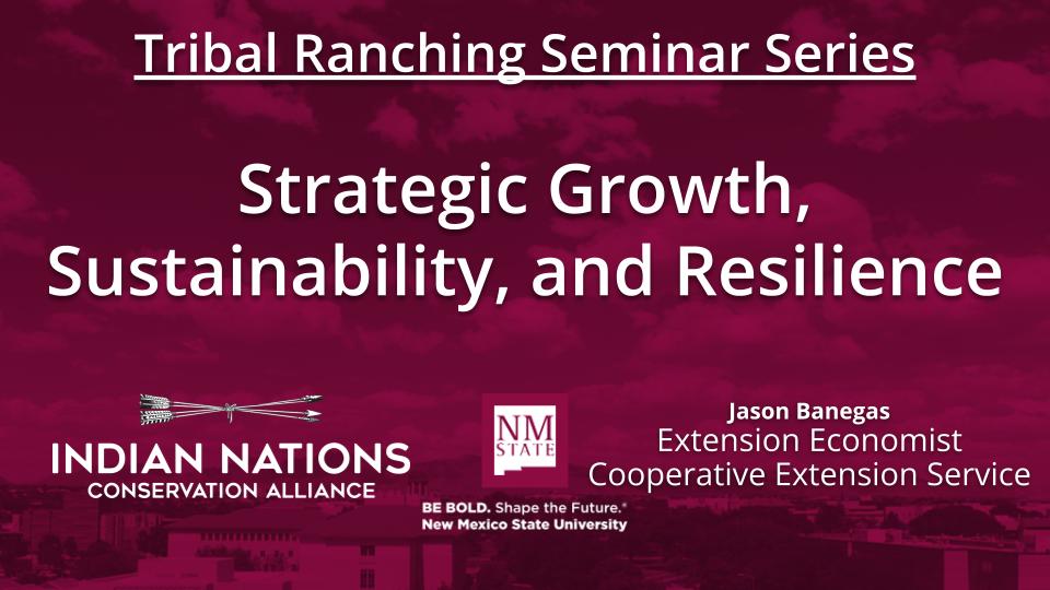 Strategic Growth, Sustainability, and Resilience