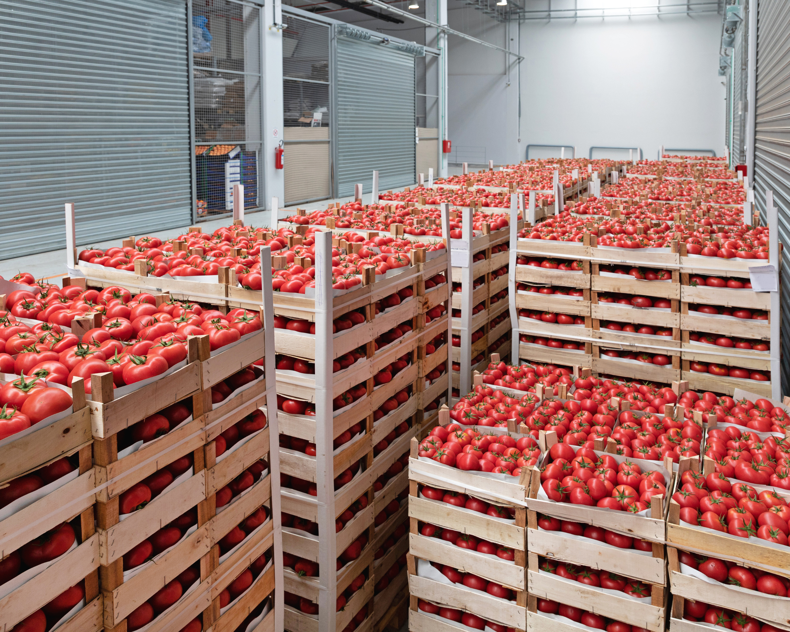 480x320_3.jpg